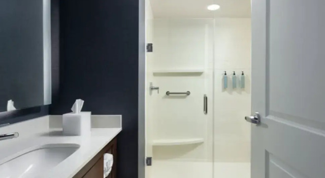 Четырёхместный люкс 1 Bedroom 2 room Residence Inn by Marriott Tampa Wesley Chapel