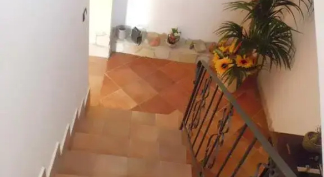 La Mimosa