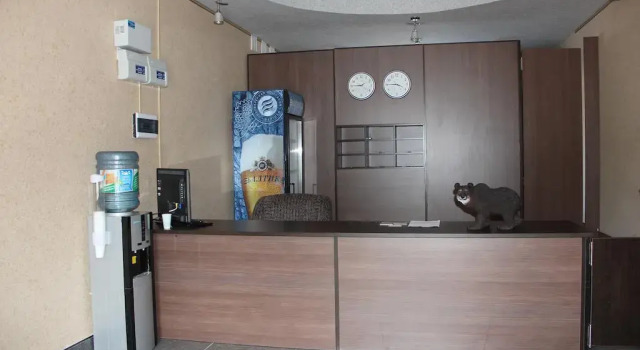 Отель Купеческая
