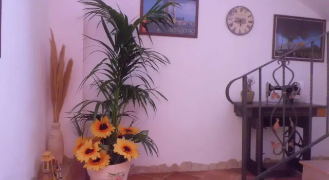 La Mimosa, Book Inn Hotels in Sicily with Parking, Parking