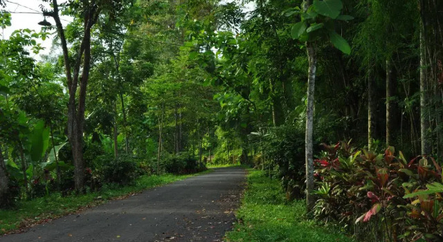 Soedjono Hotel, Varaa Hotelli Tetebatu Lombok