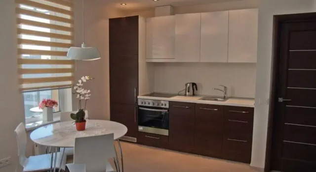 Luxury Vilnius, Book Apartment Vilkpede Vilnius