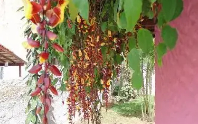Dolce Villa