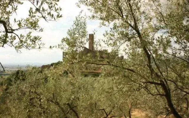 La Torre