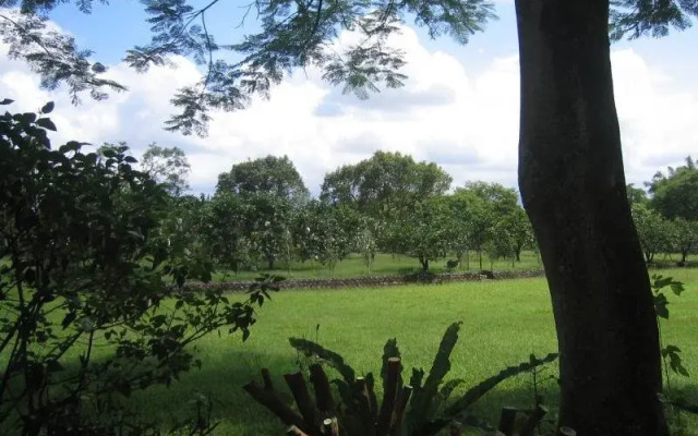 Jia Dong Garden Homestay