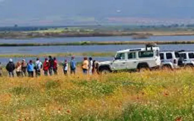 Отель Humedales de Daimiel
