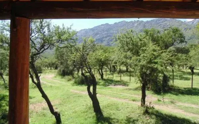 Cabaña Los Piquillines