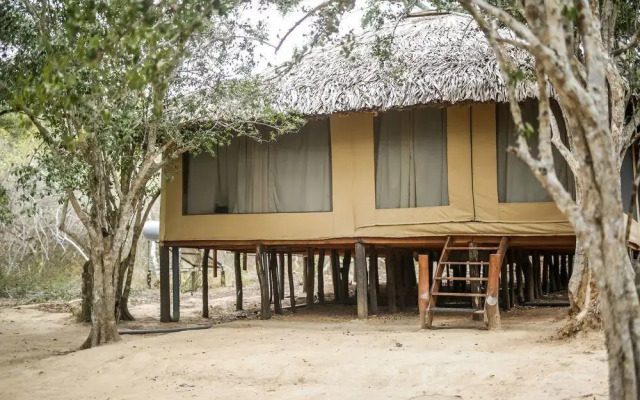 Отель Yala Safari Camping вид на фасад