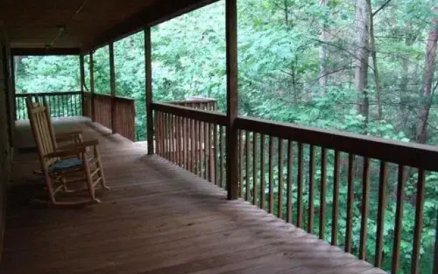 Into the Wild Cabin - 2 Br Cabin