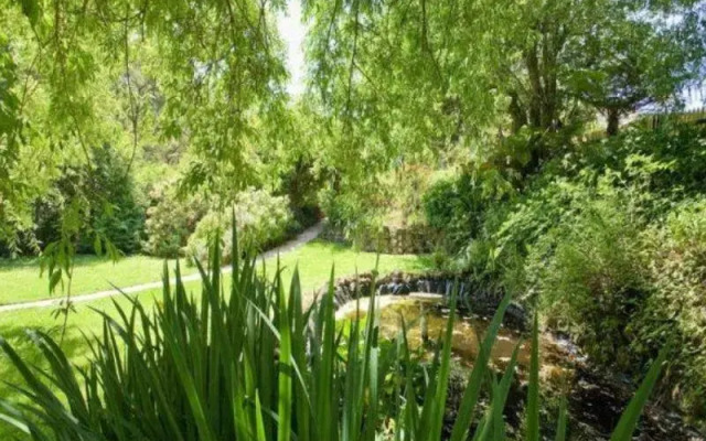 Plum Tree Studio