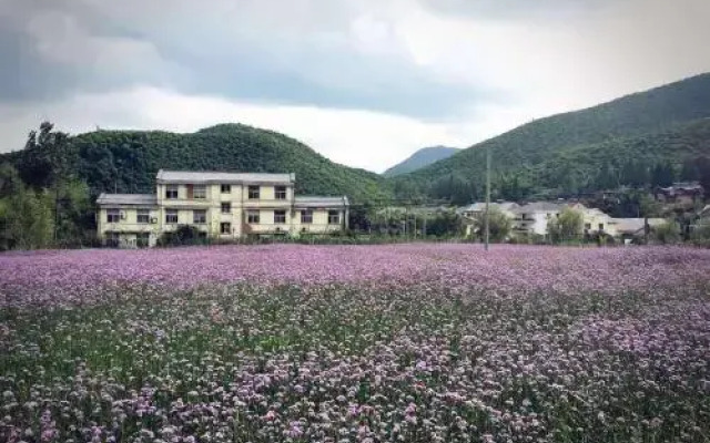 Seeking Calm Inn