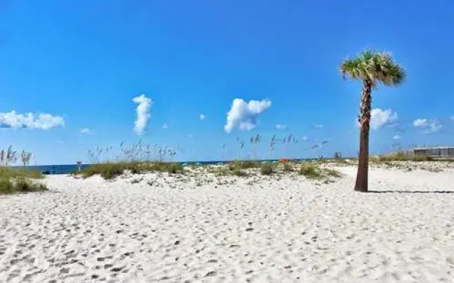 Ocean Reef 115