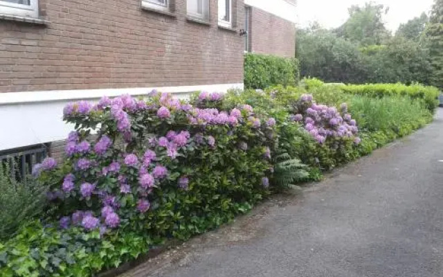 Hotel Haus Am Rieth In Nettetal Germany From 115 Photos