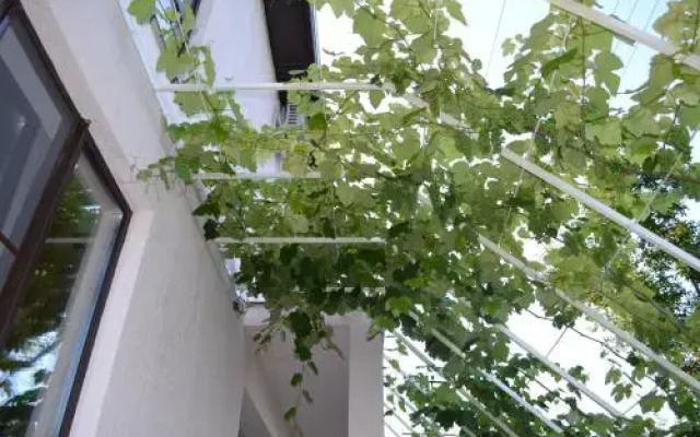Country House Albatros