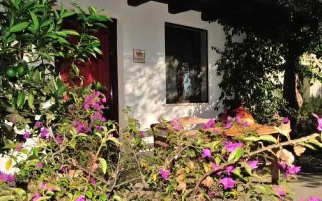 Alba Bed & Breakfast