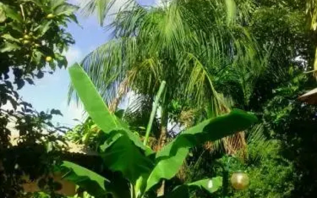 Posada María Iguazú