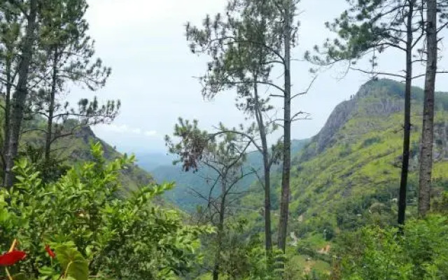Dream view