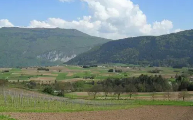 Albergo Sayonara