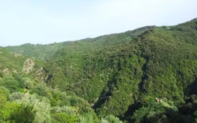 Rio Rosa