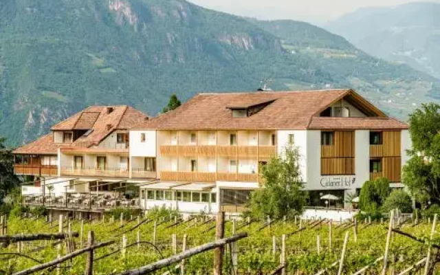 Hotel Girlanerhof Аппиано-сулла-Страда-дель-Вино вид на фасад