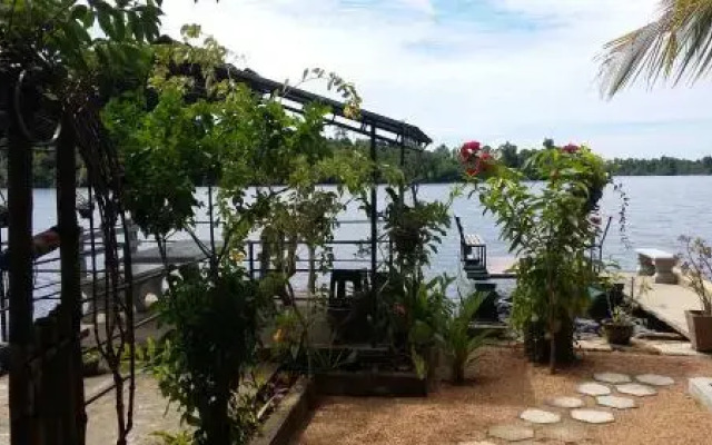 House of water Lily