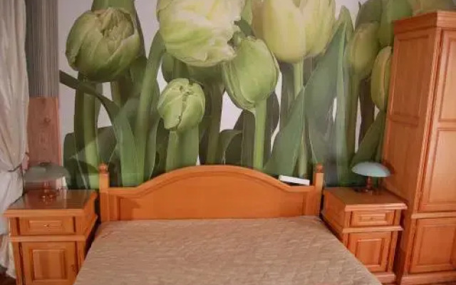Отель Stivan Iskar Hotel Болгария, София - отзывы, цены и фото номеров - забронировать отель Stivan Iskar Hotel онлайн комната для гостей