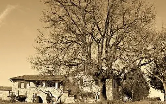 Il Casale della Quercia