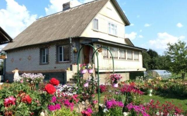 Гостиница Guest House Сеbеzh в Себеже отзывы, цены и фото номеров - забронировать гостиницу Guest House Сеbеzh онлайн Себеж вид на фасад