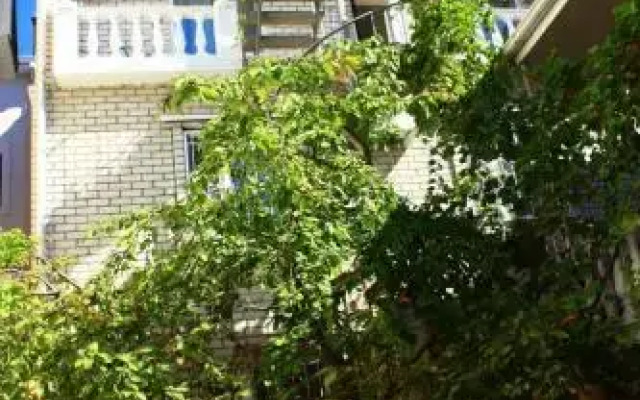 Гостиница Lovely Place Guesthouse вид на фасад