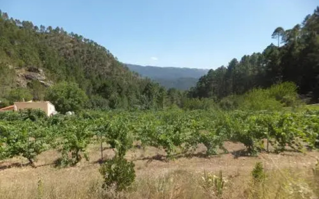 Río Mundo Alojamiento Rural