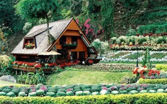 Krisdadoi Chiang Mai