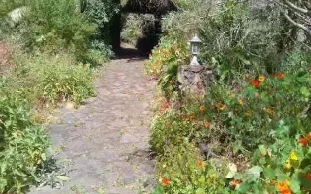Molino Remanente