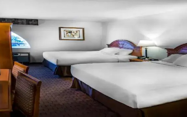 Отель Essential Hotel by Stratosphere США, Лас-Вегас - отзывы, цены и фото номеров - забронировать отель Essential Hotel by Stratosphere онлайн комната для гостей