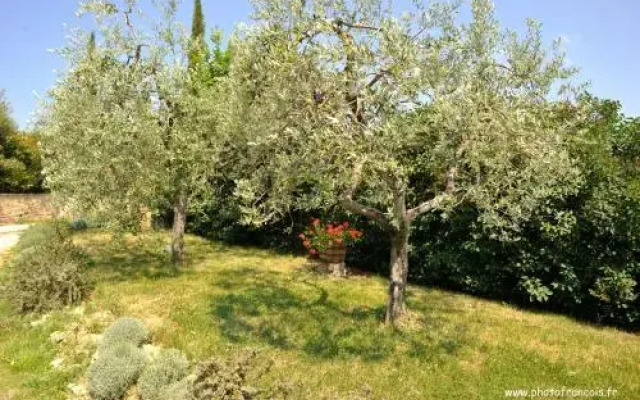 Agriturismo Il Sasso