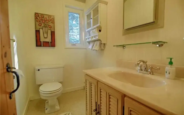 Huckleberry Hide-Away - 3 Br Cabin