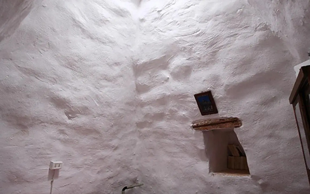 Pajara La Turre