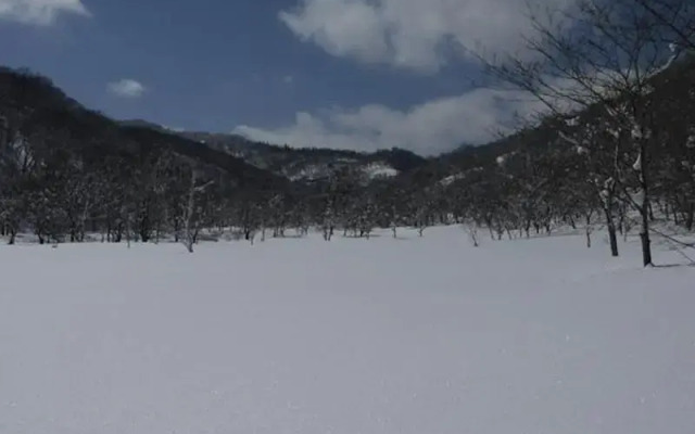 Pension Shinano
