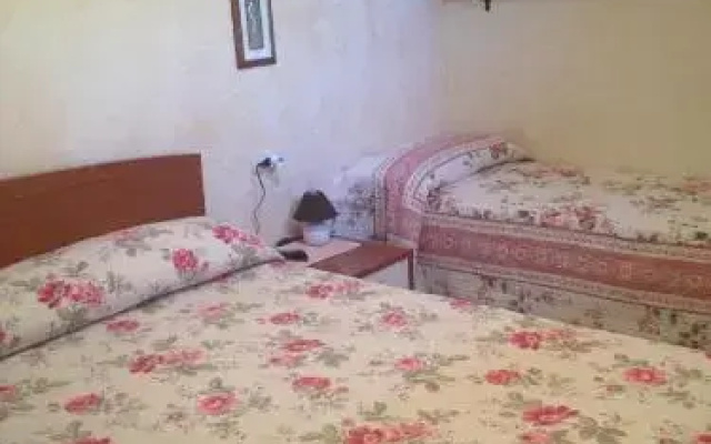 B&B Chorisia