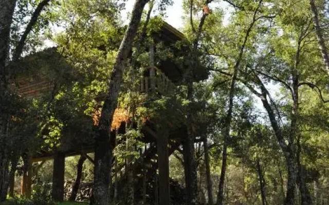 Los Nidos De Santa Maria