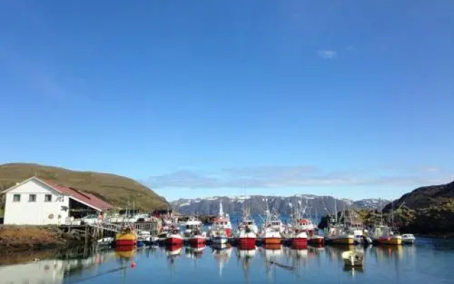 Arran Norkapp