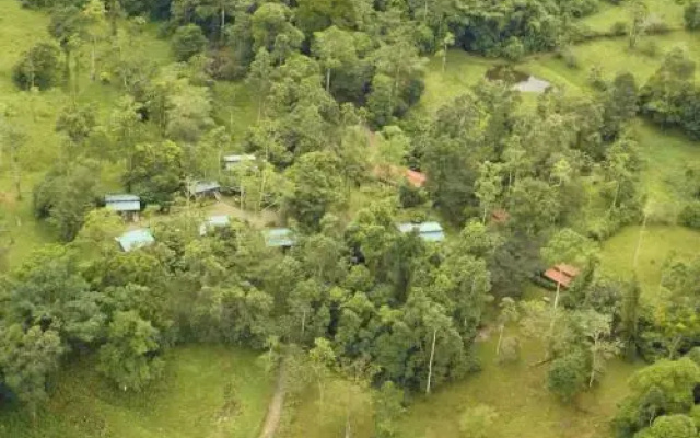 Selva Bananito Lodge
