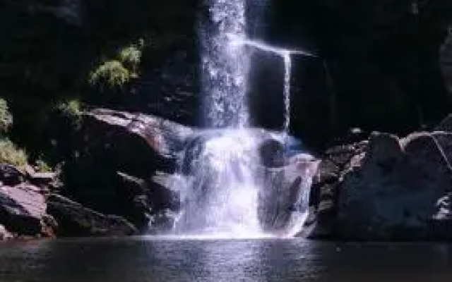 Yanasuy
