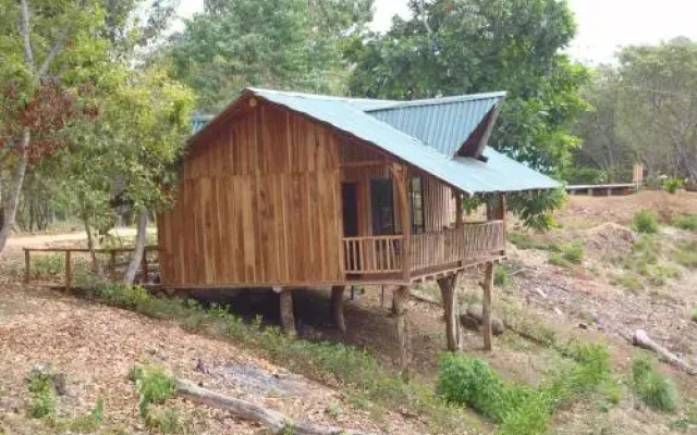 Carao Project