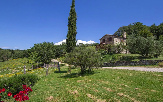 Casalini - Inh 22599