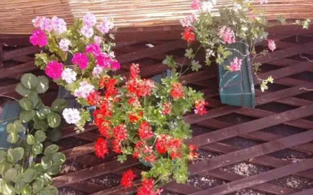 Hostel Zlatna Greda Нови Сад вид на фасад