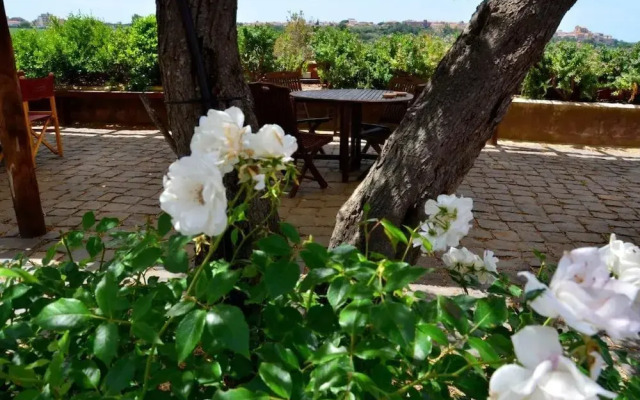Tenuta Saracone