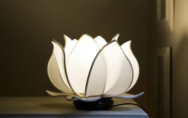 White Lotus Day Spa