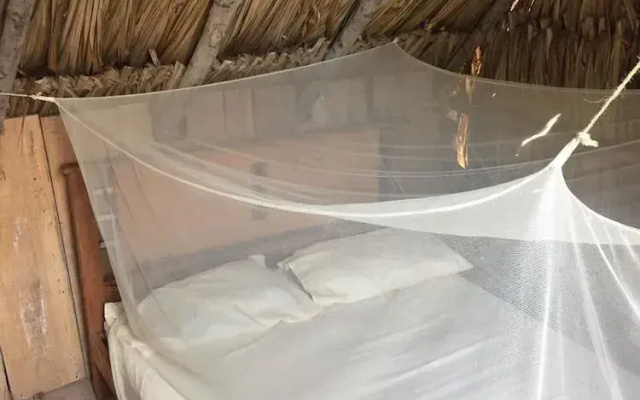 El Parche De Alex Baru