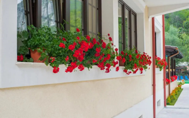 Pension Noblesse