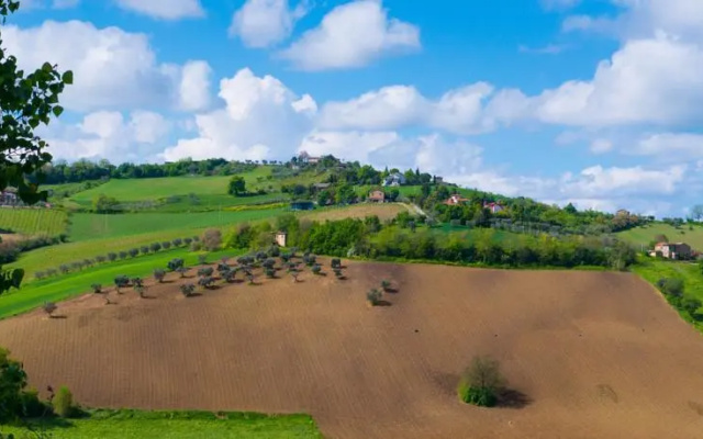 Il Giardino Erboso